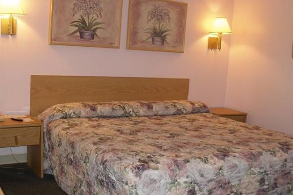 SCOTTISH INNS GAINESVILLE (Gainesville)